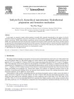 sno2 - fe2o3 hierarchical nanostructure hydrothermal preparation and formation mechanism