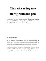 Xinh như mộng nhờ những cánh đào phai pdf