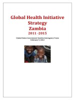 Global Health Initiative Strategy Zambia 2011 -2015 ppt