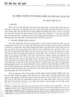 Báo cáo khoa học : Ba hiện tượng từ góc nhìn xã hội học kinh tế pptx