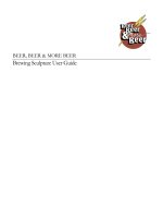 BEER, BEER & MORE BEER Brewing Sculpture User Guide pptx