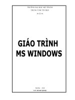 Giáo trình Ms Windows - Đại học Mở TPHCM pdf