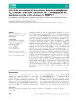 Báo cáo khoa học: Catalytic mechanism of the primary human prostaglandin F2asynthase, aldo-keto reductase 1B1 – prostaglandin D2 synthase activity in the absence of NADP(H) pptx