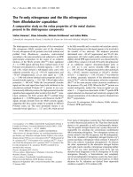 Báo cáo Y học: The Fe-only nitrogenase and the Mo nitrogenase from Rhodobacter capsulatus A comparative study on the redox properties of the metal clusters present in the dinitrogenase components doc
