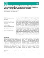 Báo cáo khoa học: The N-terminal region of the bacterial DNA polymerase PolC features a pair of domains, both distantly related to domain V of the DNA polymerase III s subunit ppt