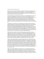 the early evolution of motion picutres