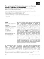 Báo cáo khoa học: The cytochrome P450scc system opens an alternate pathway of vitamin D3 metabolism docx