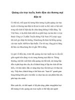 Quảng cáo trực tuyến, bước đệm của thương mại điện tử pdf