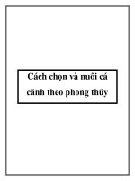 Cách chọn và nuôi cá cảnh theo phong thủy pot