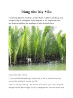 Rừng dừa Bảy Mẫu ppt