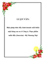 LUẬN VĂN: Biện pháp thúc đẩy kinh doanh xuất khẩu mặt hàng cao su ở Công ty Thực phẩm miền Bắc (fonexim) - Bộ Thương Mại docx