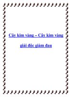 Cây kim vàng – Cây kim vàng giải độc giảm đau pdf