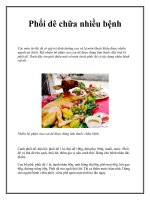 Phổi dê chữa nhiều bệnh doc