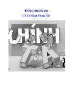 Tiếng Lóng Sài gòn Có Thể Bạn Chưa Biết pptx