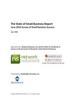 The State of Small Business Report June 2010 Survey of Small Business Success potx