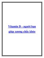 Vitamin D - người bạn giúp xương chắc khỏe pot