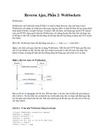 Reverse Ajax, Phần 2: WebSockets potx