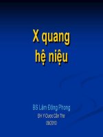 X quang hệ niệu ppt