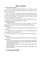 Báo cáo thực tập 