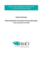 Andreas Gramzow Rural development as provision of local public goods: Theory and evidence from Poland pdf