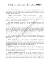 Kỹ thuật sản xuất hạt giống đậu nành rau AGS346 pptx