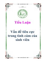 tiểu luận vấn đề tiêu cực trong tình cảm của sinh viên