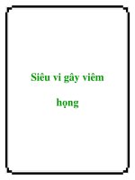 Siêu vi gây viêm họng docx