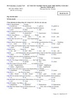 Đề thi - Đáp án môn Tiếng Đức - Tốt nghiệp THPT ( 2013 ) Mã đề 319 pptx