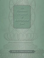 The Economic Structure of International Law potx