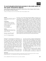 Báo cáo khoa học: A novel phosphorylated glycoprotein in the shell matrix of the oyster Crassostrea nippona pptx