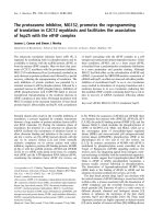 Báo cáo khóa học: The proteasome inhibitor, MG132, promotes the reprogramming of translation in C2C12 myoblasts and facilitates the association of hsp25 with the eIF4F complex pptx