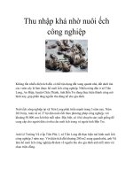 Thu nhập khá nhờ nuôi ếch công nghiệp pot