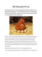 Hội chứng giảm đẻ ở gà pptx