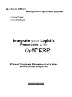 Integrate your Logistic Processes with OpenERP pot