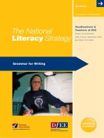 The National Literacy Strategy Grammar for Writing pot