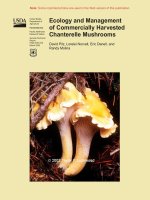Ecology and Management of Commercially Harvested Chanterelle Mushrooms pdf
