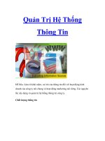 Quản Trị Hệ Thống Thông Tin pot