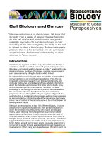 REDISCOVERING BIOLOGY - Molecular to Global Perspectives: Cell Biology and Cancer pot