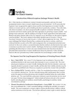 Abortion Bans Without Exceptions Endanger Women’s Health pot