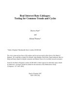 Real Interest Rate Linkages: Testing for Common Trends and Cycles pptx