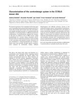 Báo cáo khoa học: Characterization of the serotoninergic system in the C57BL/6 mouse skin potx