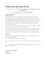 chuẩn mực kiểm toán số 501