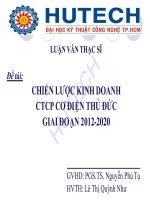 Luận văn:Chiến lược kinh doanh của công ty cổ phần điện Thủ Đức giai đoạn 2012-2020 pdf