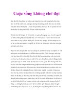 Cuộc sống không chờ đợi pot