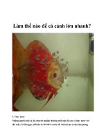 Làm thế nào để cá cảnh lớn nhanh? pptx