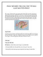 PHÁC ĐỒ ĐIỀU TRỊ UNG THƯ TẾ BÀO GAN NGUYÊN PHÁT ppt