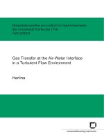 Gas transfer at the air-water interface in a turbulent flow environment pdf