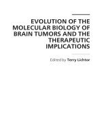 EVOLUTION OF THE MOLECULAR BIOLOGY OF BRAIN TUMORS AND THE THERAPEUTIC IMPLICATIONS pdf
