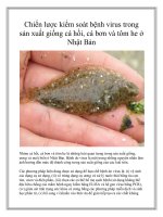 Chiến lược kiểm soát bệnh virus trong sản xuất giống cá hồi, cá bơn và tôm he ở Nhật Bản pdf