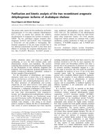 Báo cáo khoa học: Puriﬁcation and kinetic analysis of the two recombinant arogenate dehydrogenase isoforms of Arabidopsis thaliana pptx